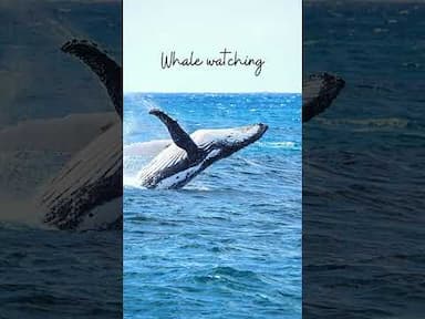 Best Things to do in Canada