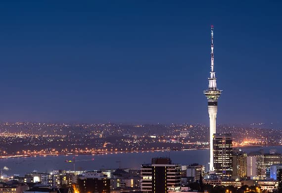 Auckland Skyline- 0