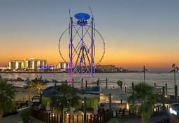 Dubai Flying Cup - O