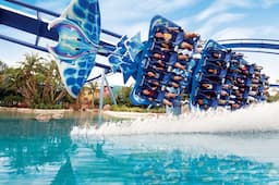 Seaworld Orlando 6