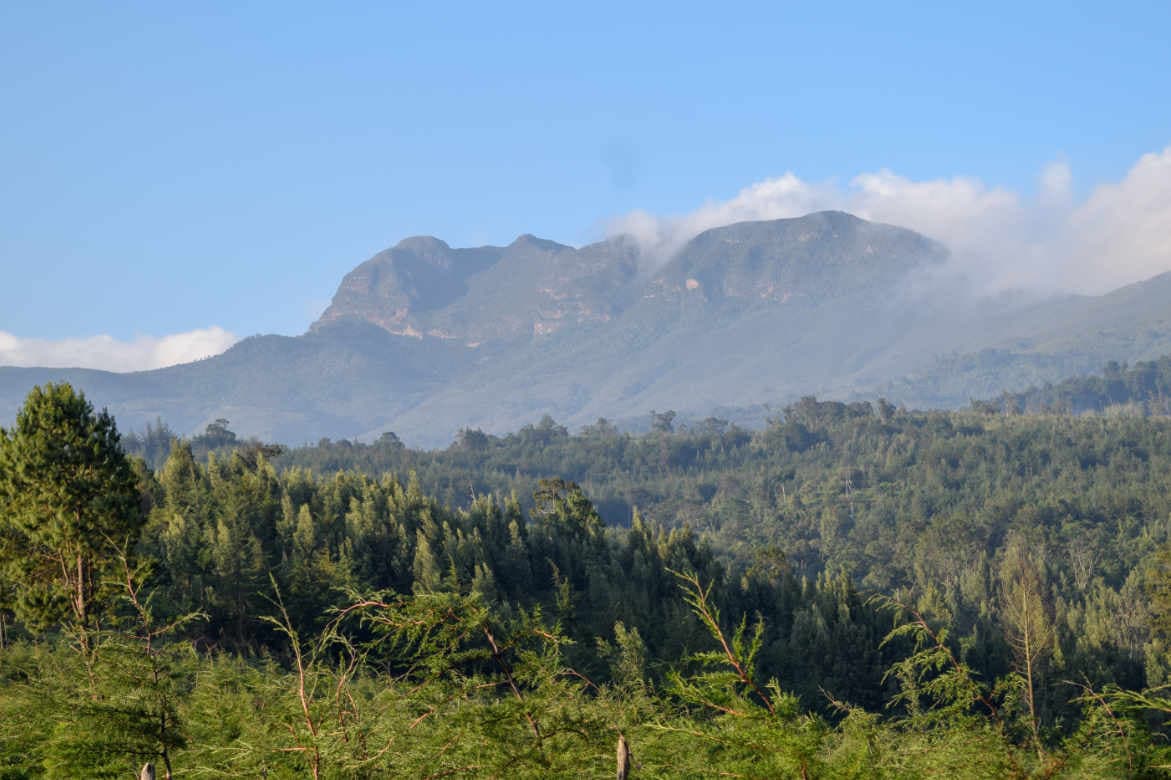Aberdare National Park