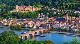 Enjoy Rhine River Cruise