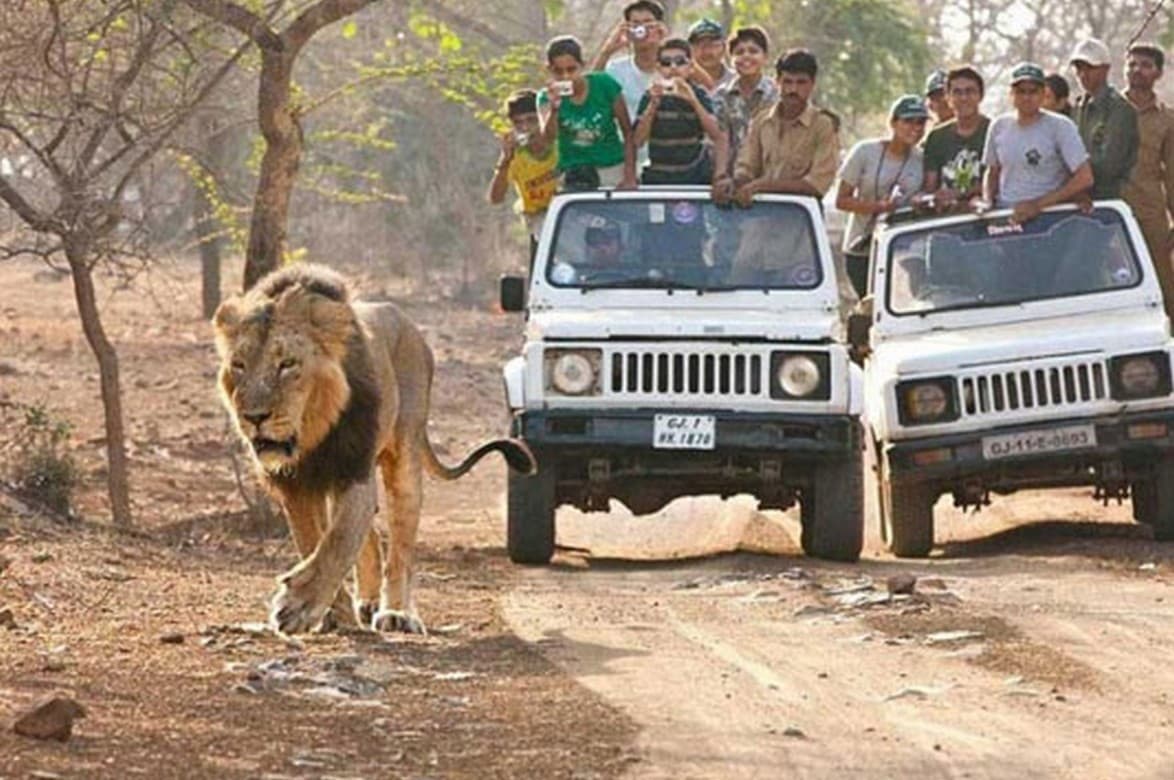 Gir (Junagarh)