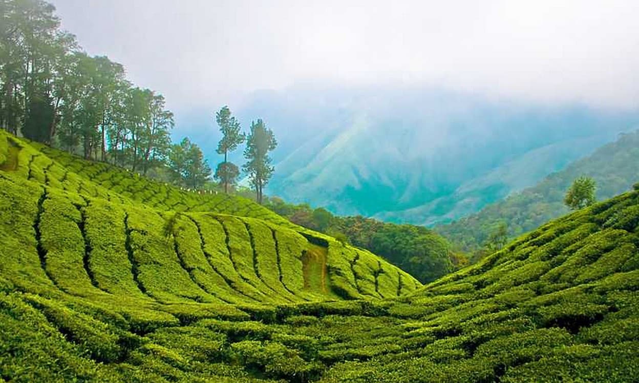 MUNNAR