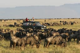 Masai Mara