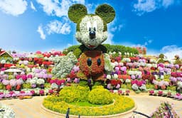 Miracle Garden 