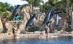 Safari World Australia