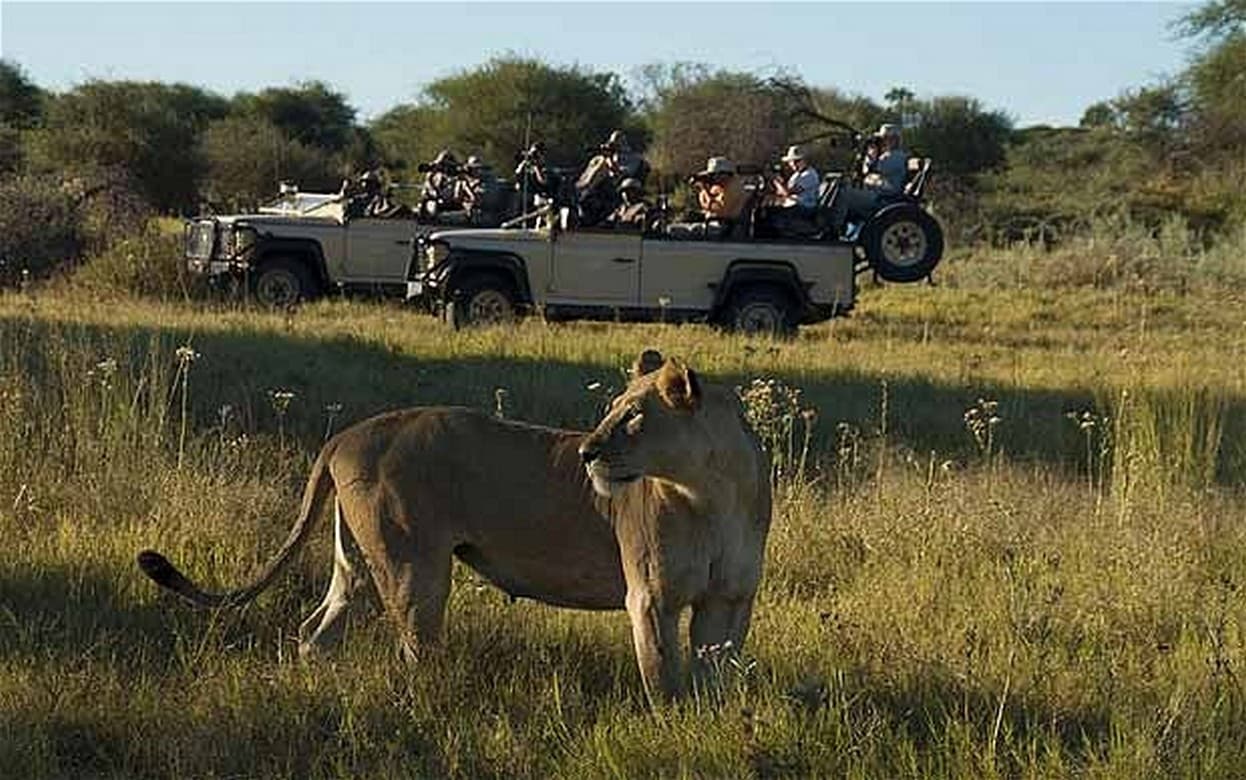 Game Drive in Moreimi