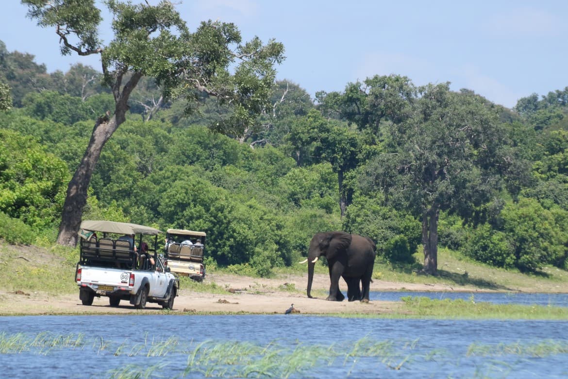 chobe botswana
