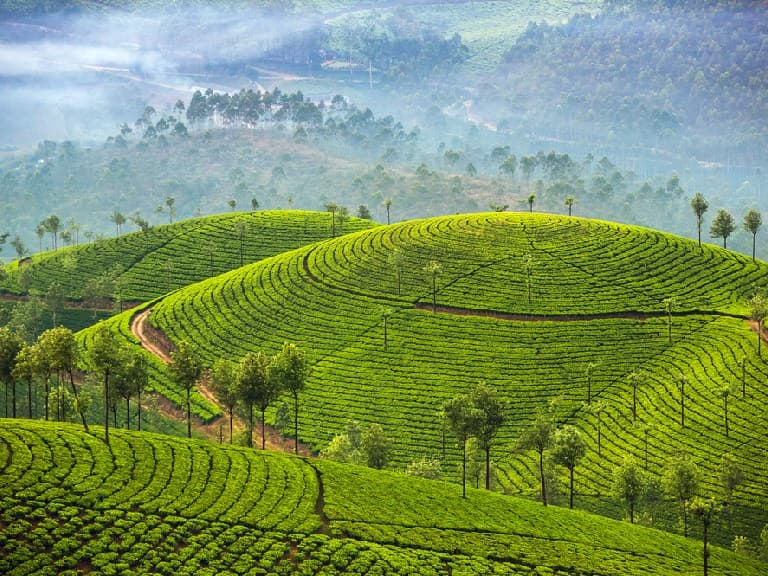 Best time to visit in Kerala