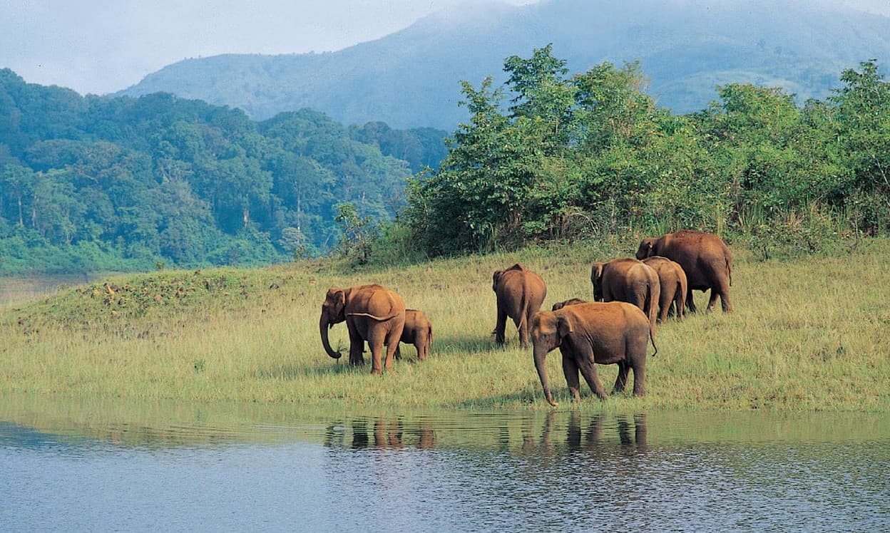 periyar-national-park