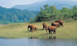 periyar-national-park