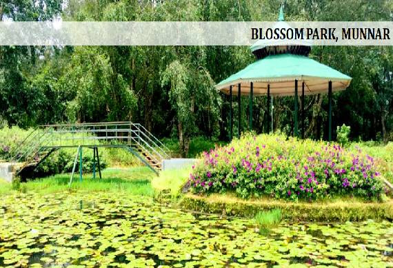 Blossom_park_munnar