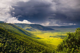 Ngorongoro