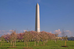 Washington Monument