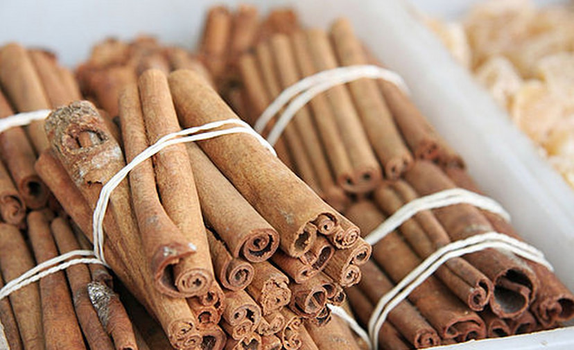 Visit Cinnamon Island