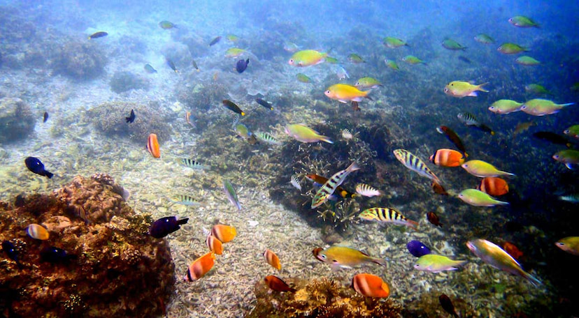 Boracay Island Hopping Tour With Lunch