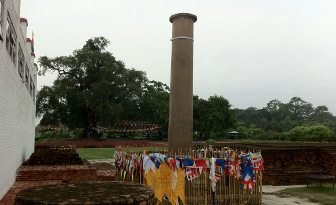 Ashok Pillar