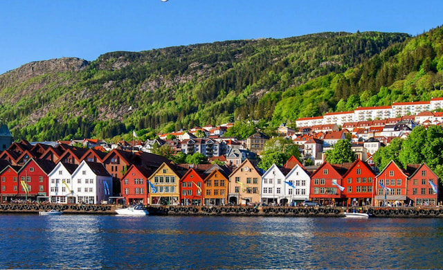 Bergen Shore Excursion - Bergen Walking Tour