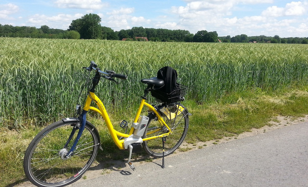 Ride on a Bike through Tea Plantations