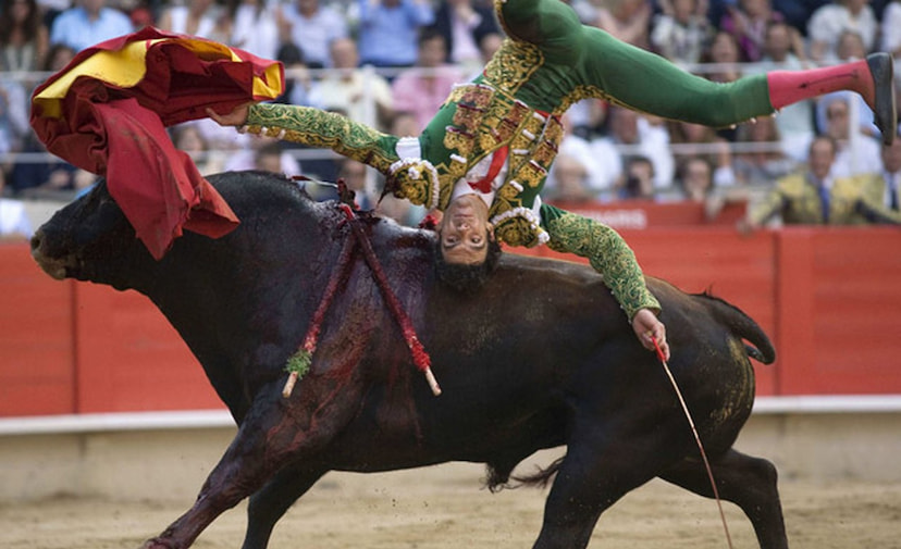 Bullfight