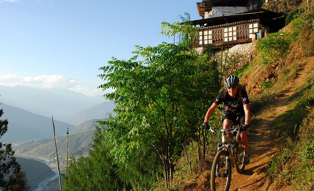 Thrill yourself in Mountain biking