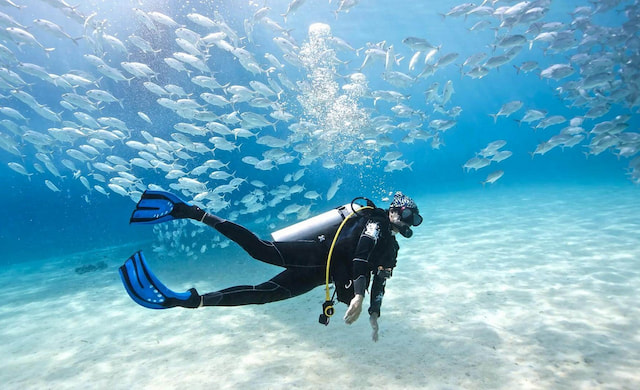 Scuba Diving