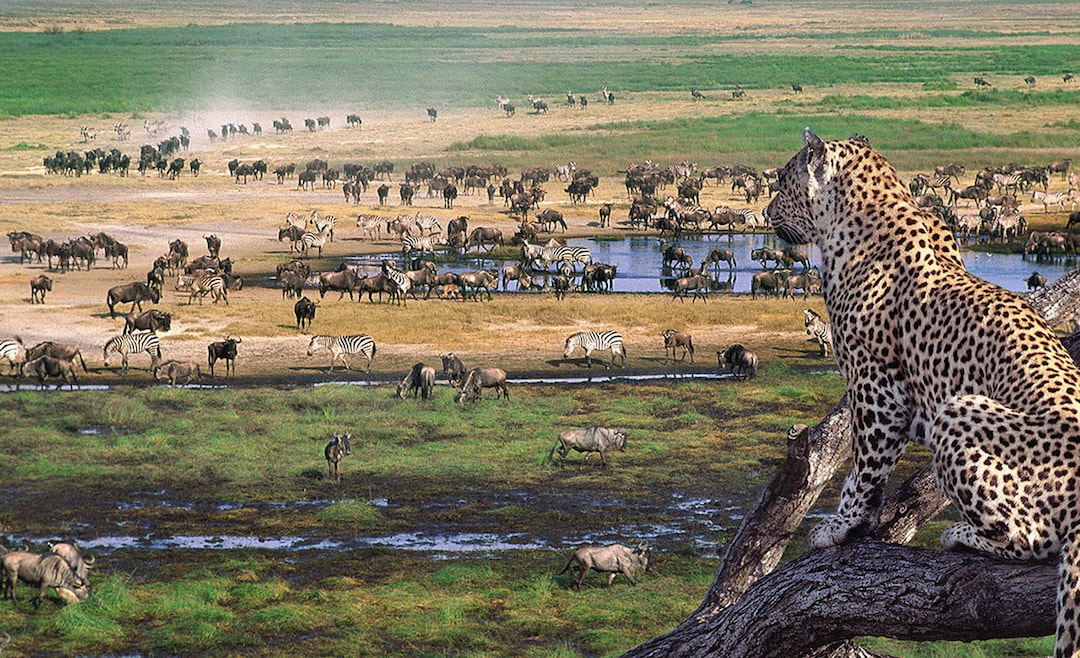 Serengeti National Park