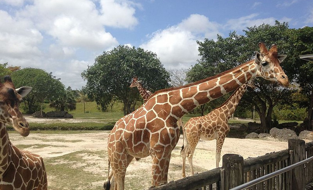 Zoo Miami