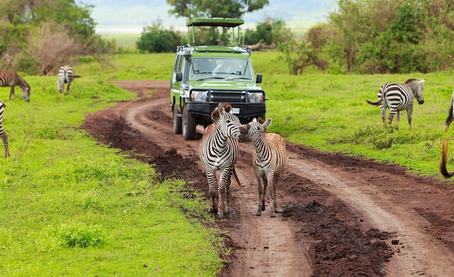 Full Day Crater Tour From Arusha
