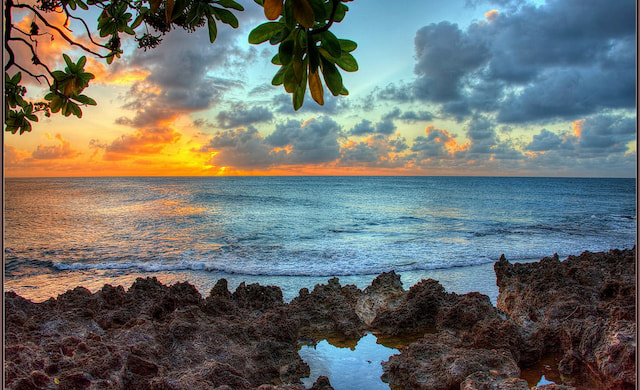 Diamond Head And Oahu Coast Half-day Tour