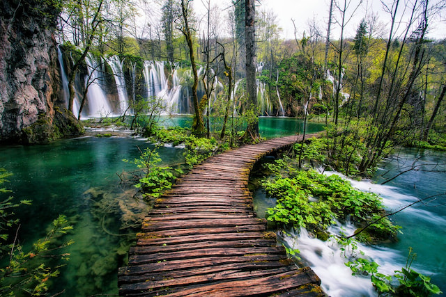 Plitvice Lakes National Park Tour from Split