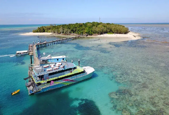 Big Cat Green Island - 0