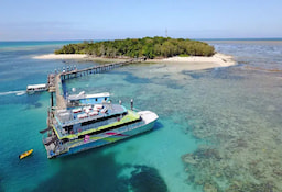 Big Cat Green Island - 0