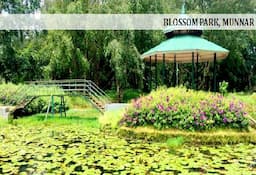 Blossom Park Munnar