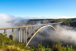 Bungee Jump at Bloukrans Bridge - 0