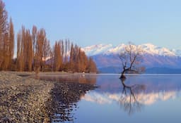 Day Trip To Arrow Town- 0