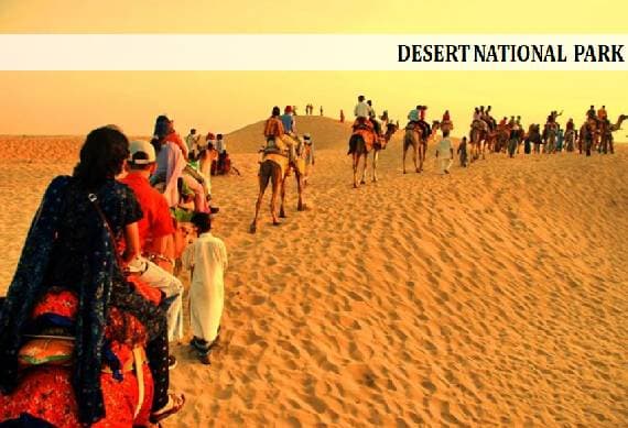 Desert_national_park_Jaisalmer