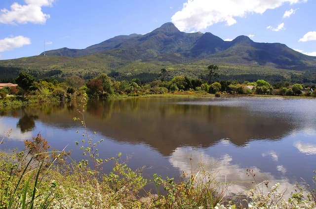 South African Escape With Chef (Hook on to Scenic South Africa)