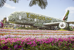 Miracle Garden 1 - O