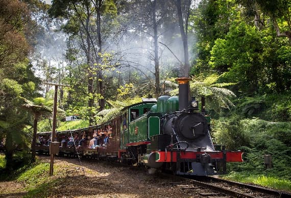Puffing Billy with Wildlife