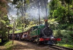 Puffing Billy with Wildlife