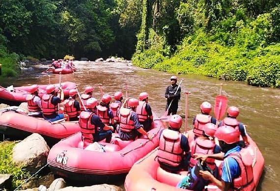 White Water Rafting At Ayung River