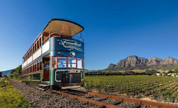 Double Deck Tram - 0