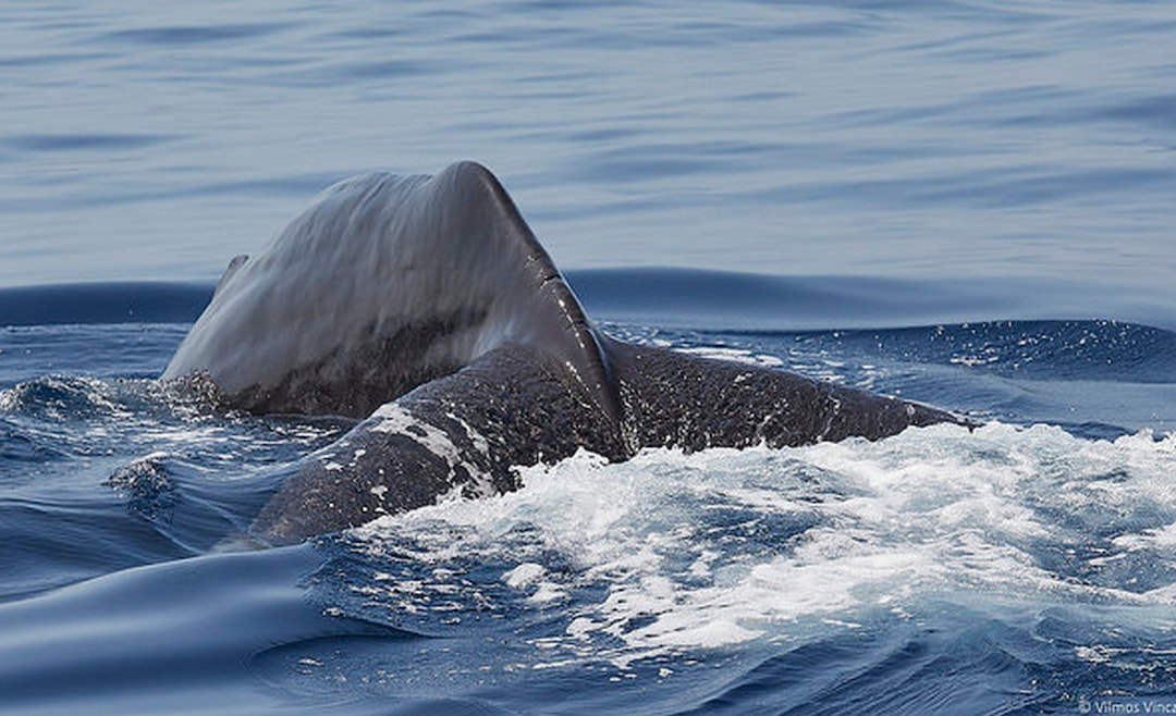 Thrill Yourself with Water Sports Activities