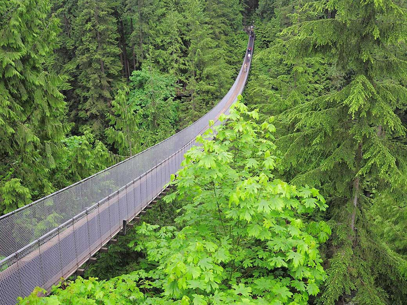 Capilano Suspension Bridge and Grouse Mountain