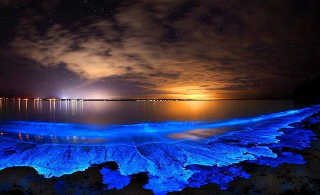 Bioluminescent Beach
