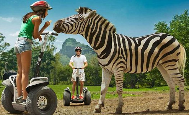 Casela Natural Park Segway tour