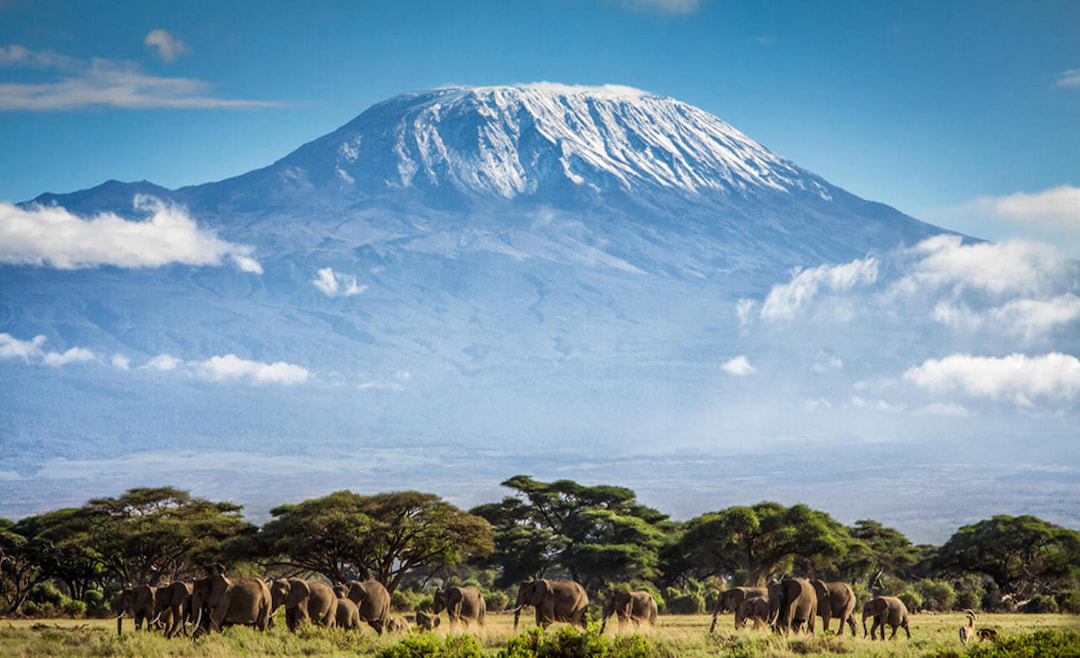 Mount Kilimanjaro