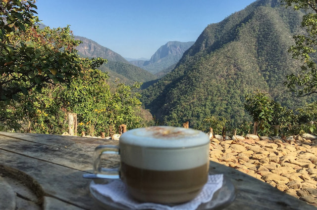 Explore some of the best cafes of Manali